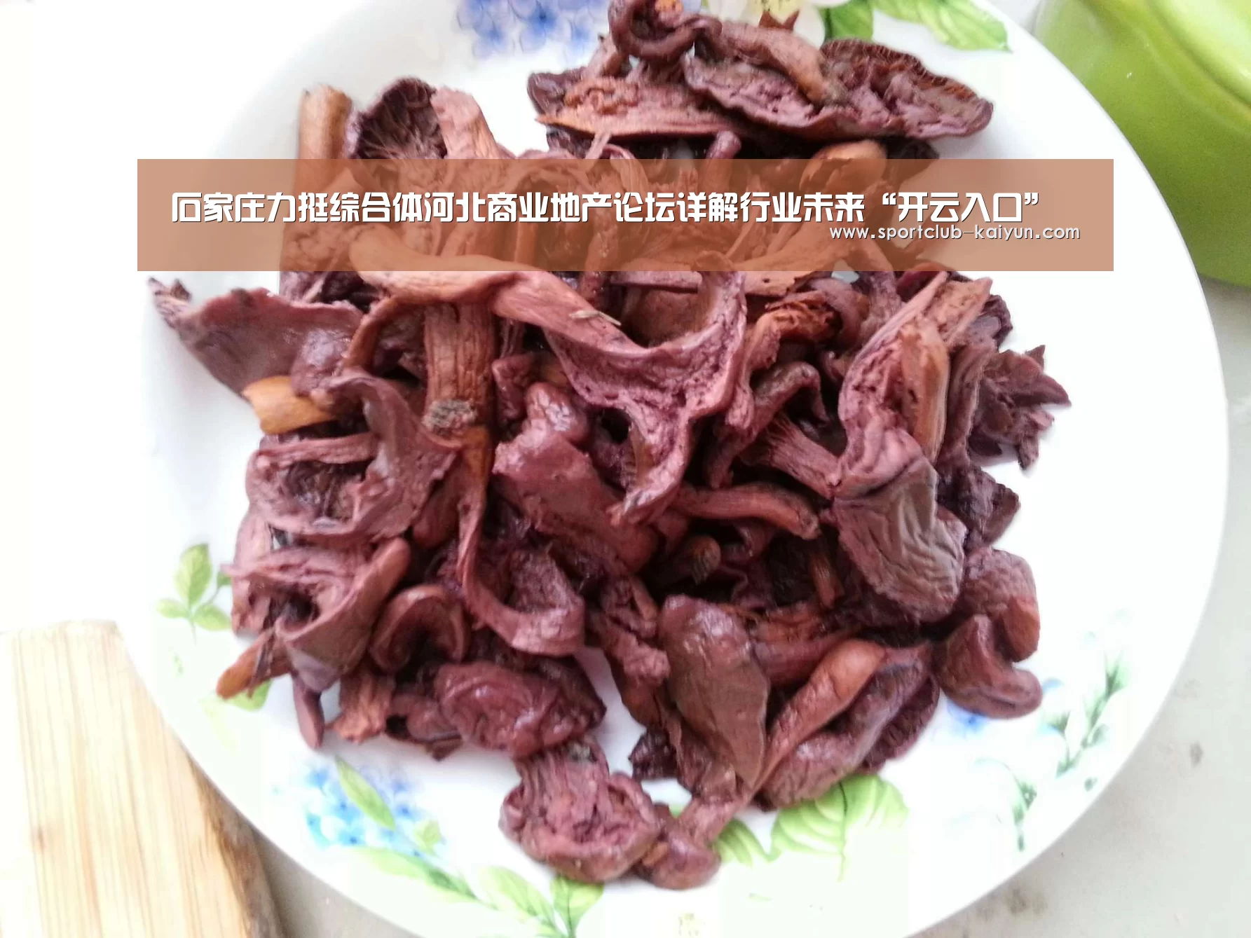 开云登录