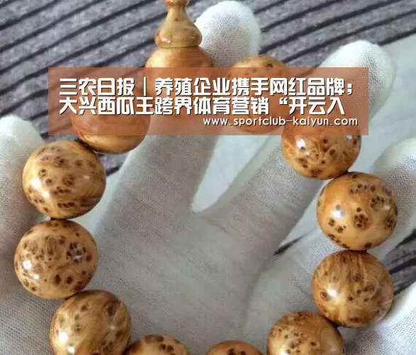 开云APP