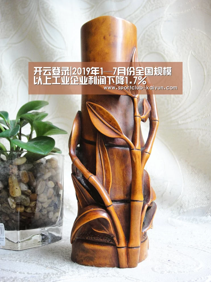 开云登录|2019年1—7月份全国规模以上工业企业利润下降1.7%(图2) 开云APP