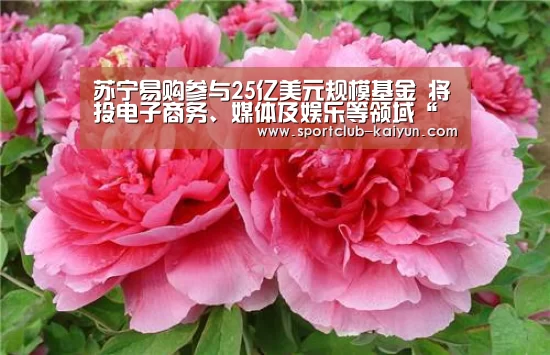苏宁易购参与25亿美元规模基金 将投电子商务、媒体及娱乐等领域“开云官网”(图2) 开云APP