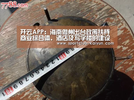 开云APP:海南儋州出台政策扶持商业综合体、酒店及写字楼的建设(图1) 开云官网