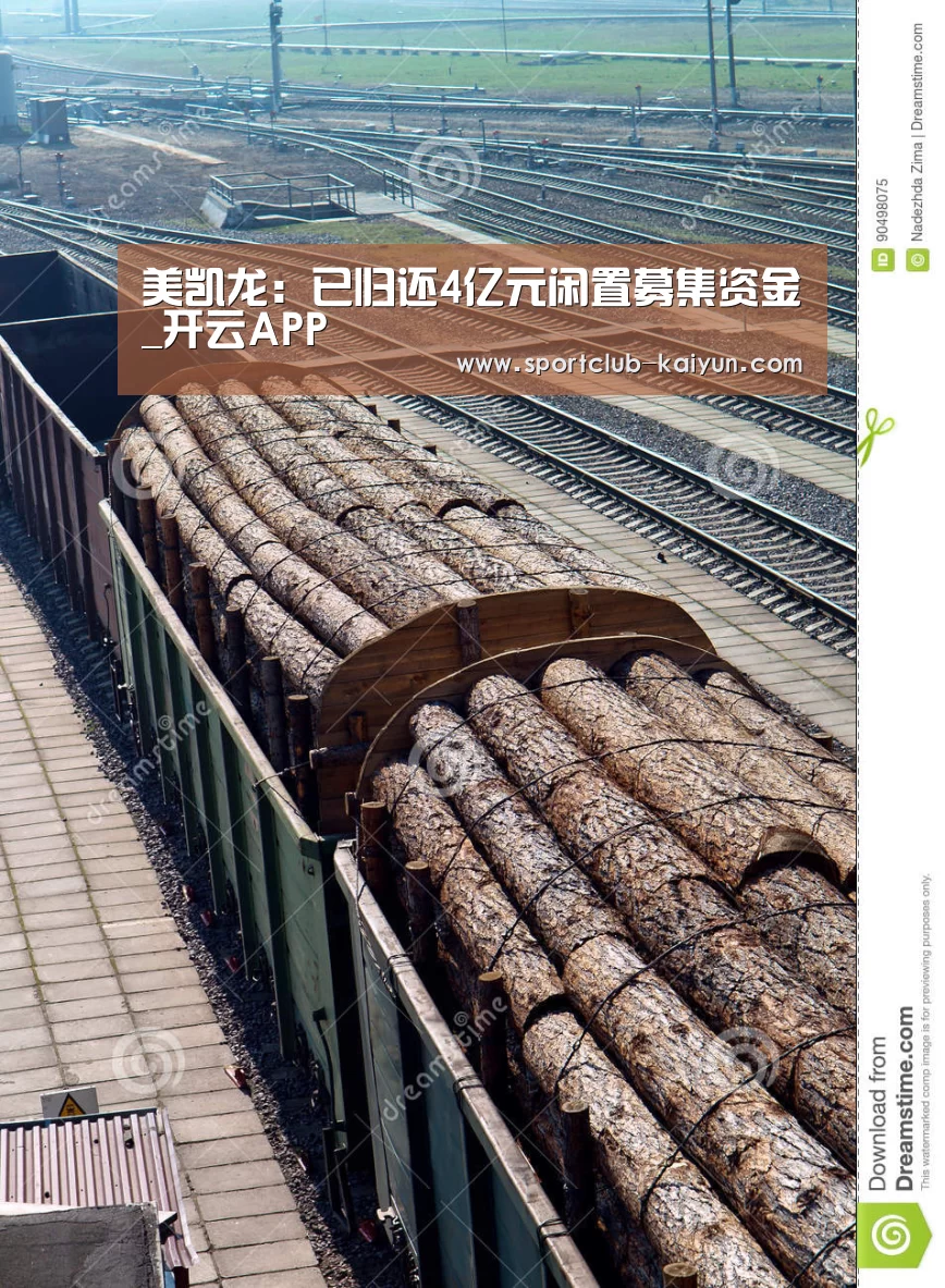 美凯龙:已归还4亿元闲置募集资金_开云APP(图2) 开云入口