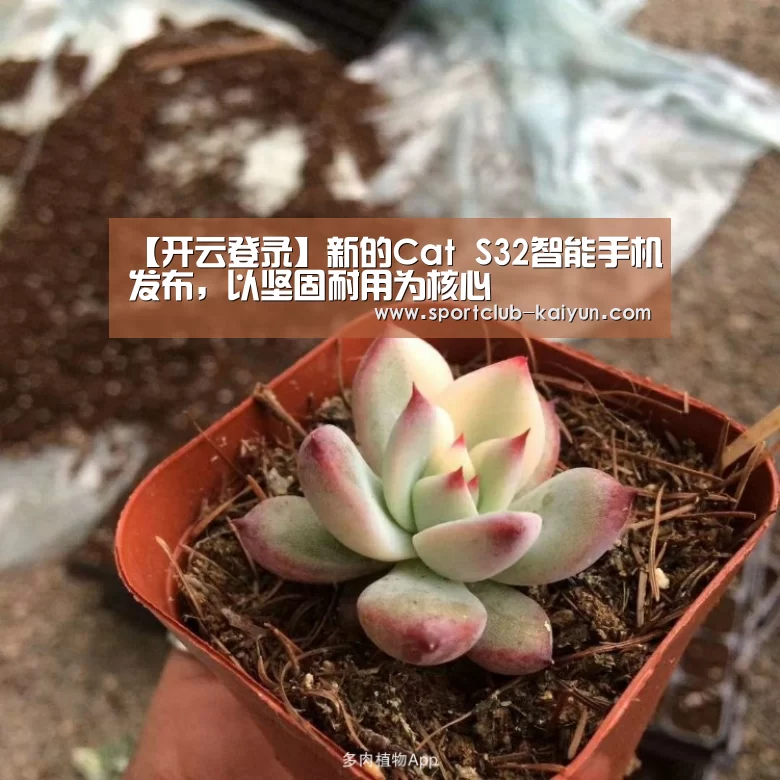 【开云登录】新的Cat S32智能手机发布,以坚固耐用为核心(图1) 开云登录