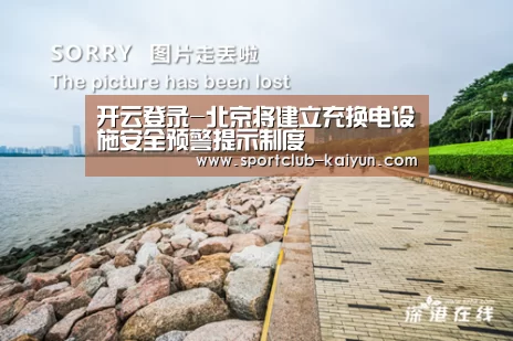 开云登录-北京将建立充换电设施安全预警提示制度(图3) 开云APP