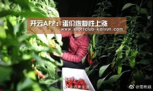开云APP:蛋价恢复性上涨(图1) 开云官网