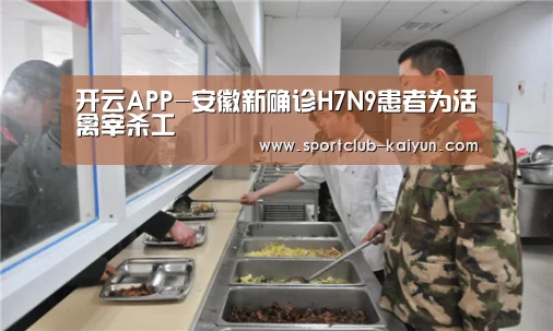 开云入口